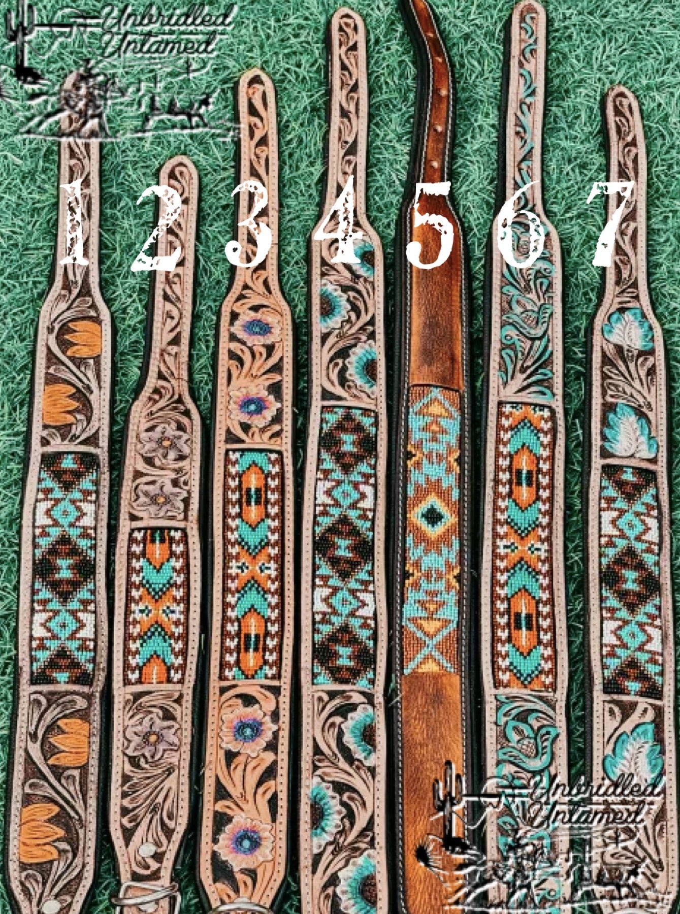 Dog Collar - Toddler Belt