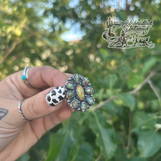 Royston Cluster Ring